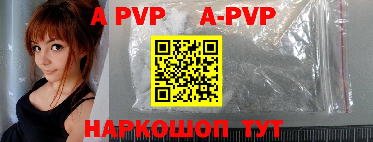 Alfa_PVP крисы CK  A PVP СК КРИС  Вход с VPN  Братск 