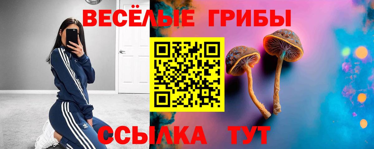 Псилоцибиновые грибы MAGIC MUSHROOMS Братск